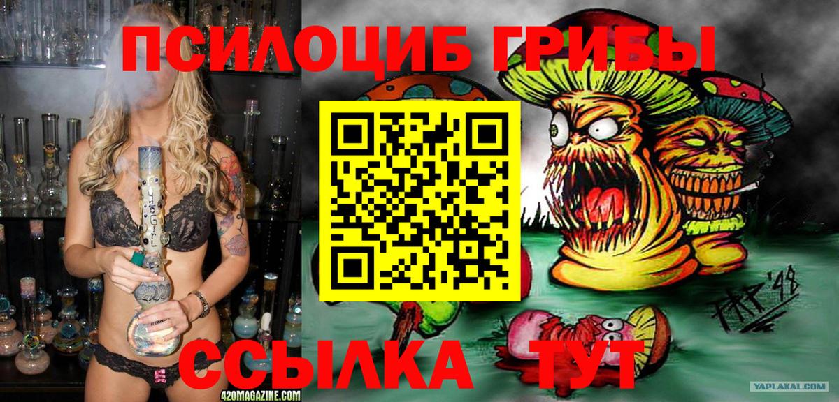 Псилоцибиновые грибы Cubensis Новоалександровск