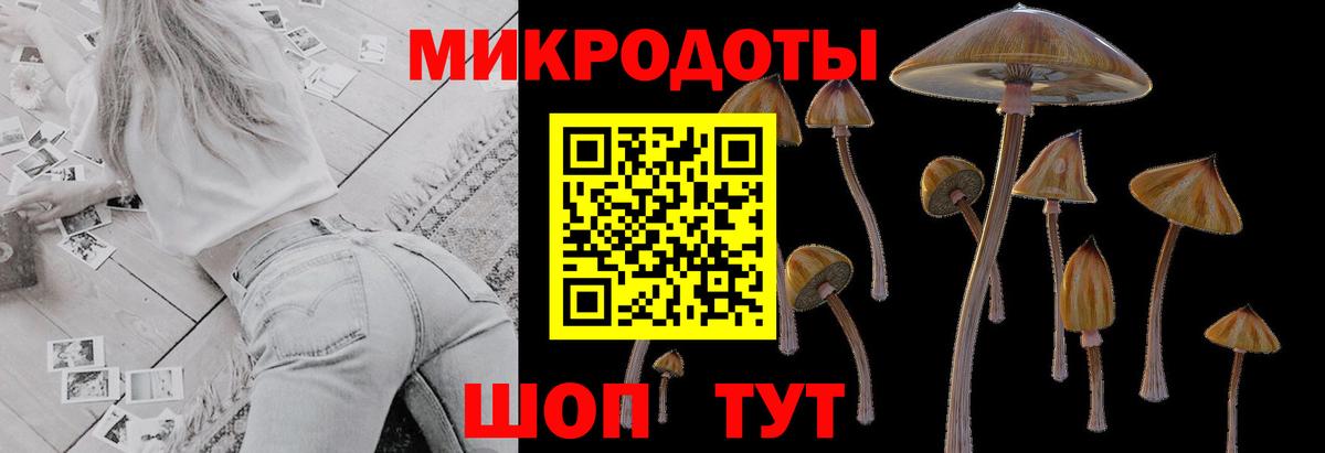 Новоалександровск  Галлюциногенные грибы Magic Shrooms  Вход с VPN 